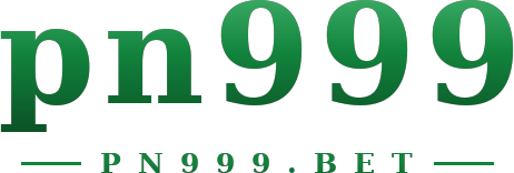 pn999 logo